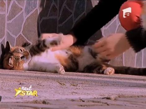 Prezentare: Ioana Mîrți - 13 ani, Pildești, Neamț