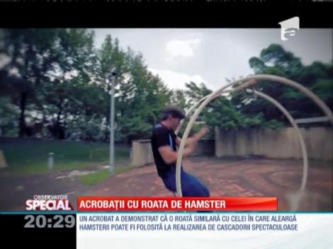 Special! Acrobații cu roata de hamster
