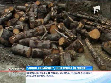 "Aurul României", scufundat în noroi