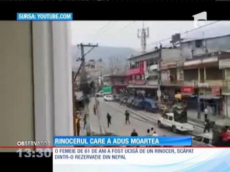 Un rinocer evadat dintr-o rezervaţie a făcut ravagii în Nepal
