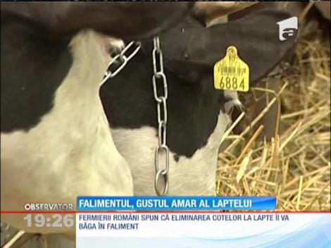 Falimentul, gustul amar al laptelui