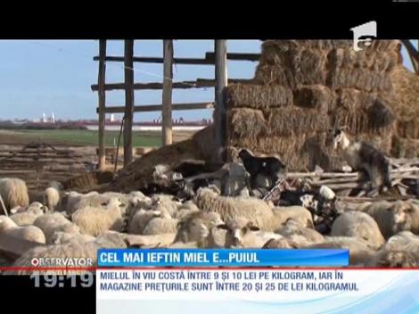 La masa de Paşte, românii înlocuiesc mielul cu puiul sau cu iepurele