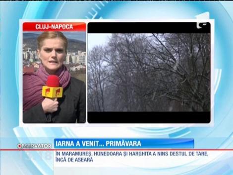 Iarna a venit primăvara