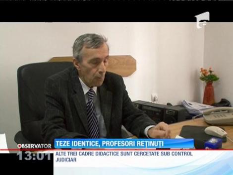 Teze identice, profesori reţinuţi