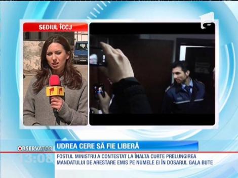 Elena Udrea cere să fie liberă
