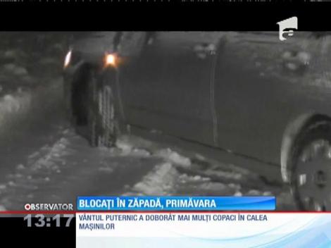 Blocaţi în zapadă, primăvara
