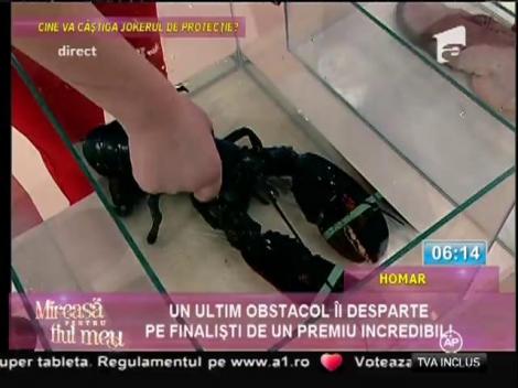 Proba finală pentru concurenţi: secretul din acvariu!