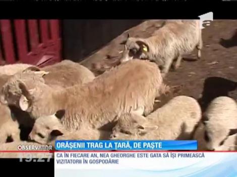 Orăşenii aleg să-şi petreacă Paştele la ţară
