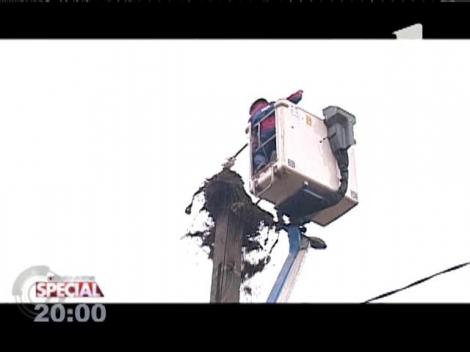 Special! Satul sibian Cristian, raiul berzelor