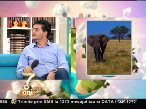 Raiul pe pământ: Africa