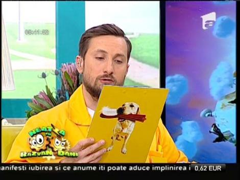 Bolile dentare la câini