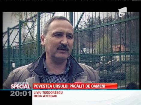Special! Povestea ursului păcălit de oameni