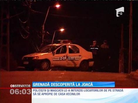 În timp ce se juca în mansarda casei, un copil din Piteşti a descoperit o grenadă