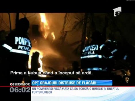 8 grajduri distruse de flăcări