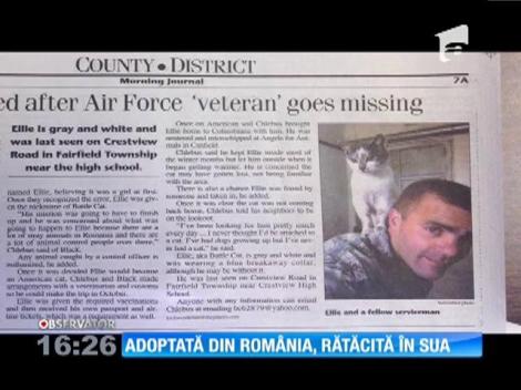 O pisică adoptată din România de militarii americani, subiect de prima pagină de ziar în SUA