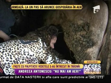 Paşte cu palpitaţii! Vedetele s-au întrecut în trăsnăi! (partea a doua)