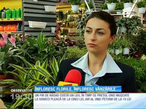 Florile şi articolele de grădinărit sunt cele mai căutate în această perioadă