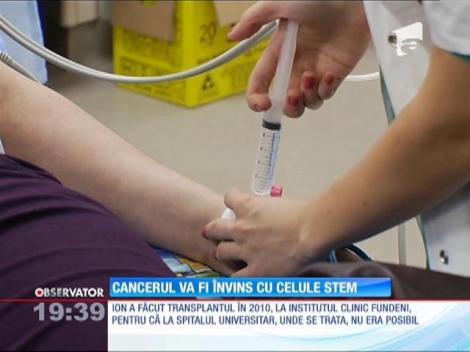 Cancerul va fi învins cu celule stem
