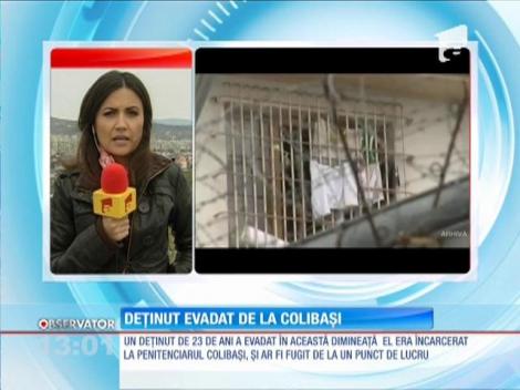 Un deţinut de 23 de ani a evadat din penitenciarul Colibaşi
