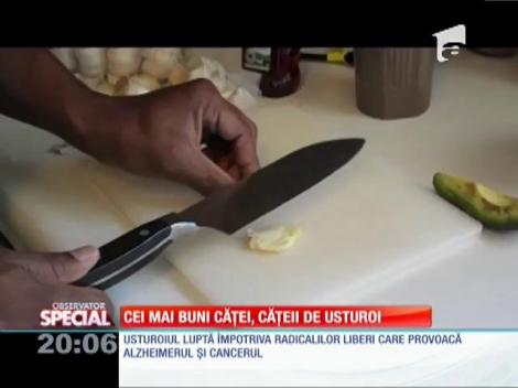 Special! Cei mai mulţi căţei, căţeii de usturoi