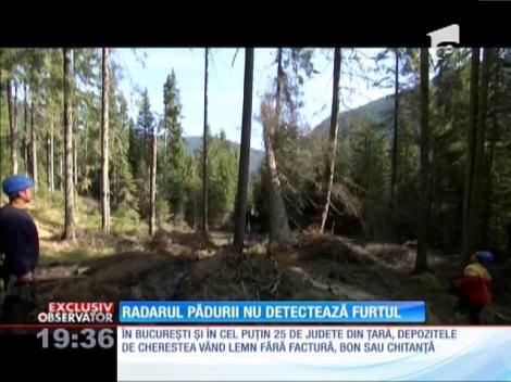 Radarul pădurii nu detectează furtul