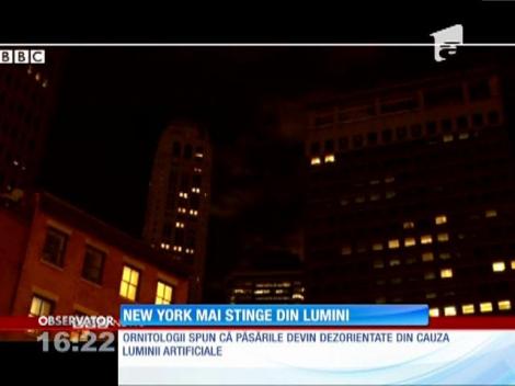 Clădirile publice din New York vor stinge luminile pe timpul nopții