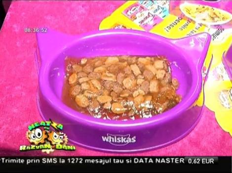 Sfaturi bune pentru îngrijirea pisicilor!