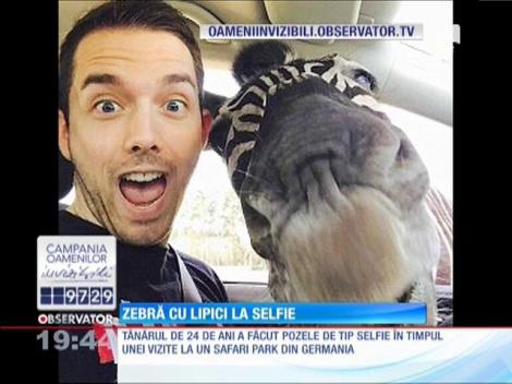 Zebra cu lipici la selfie
