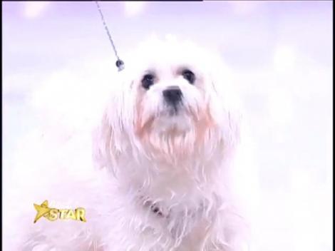 Prezentare: Diana Zaharia - 12 ani, Galaţi