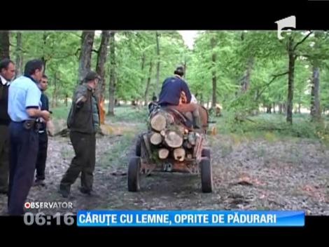 Hoți de lemne prinși în acțiune