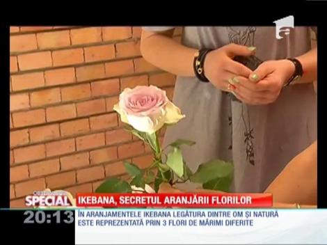 SPECIAL! Ikebana, o adevărată artă a aranjamentelor florale!