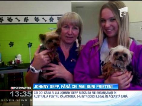 Johnny Depp, fără cei mai buni prieteni