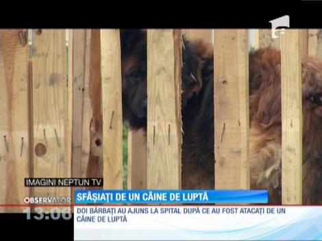Sfâşiaţi de un câine de luptă