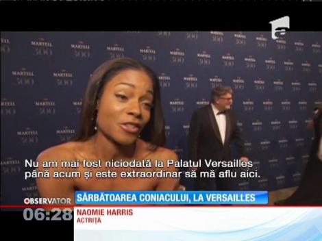 Petrecere regala la palatul de la Versailles