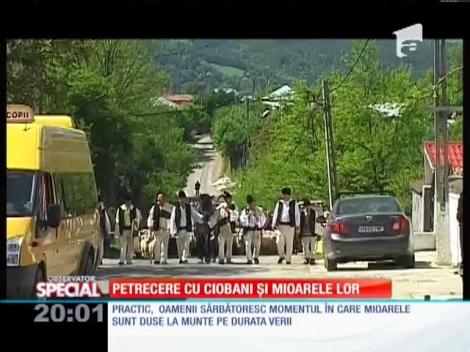 SPECIAL! Petrecere cu ciobani şi mioarele lor