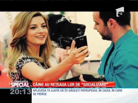SPECIAL! C&acirc;inii au reţeaua lor de "socializare"