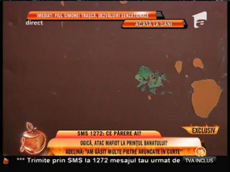 Adelina: "Locuim pe o stradă liniştită"