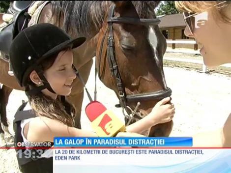Paradisul distracţiei este în pădurea de la Baloteşti