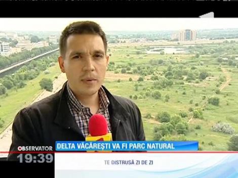Delta Văcăreşti va deveni parc natural
