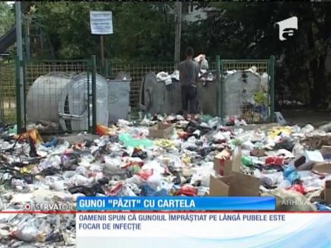 Accesul la ghenele de gunoi din Buzău se face pe bază de cartelă