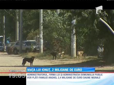 Sentinţă în dosarul băiatului sfâşiat de câini. Despăgubiri de peste 2 milioane de euro pentru familia lui Ionuţ