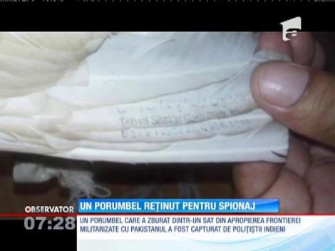 Poliţiştii indieni au reţinut un porumbel pentru spionaj