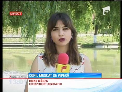 Copil mușcat de viperă