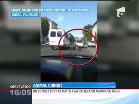 ŞOCANT! Un şofer a fost filmat în timp ce târa cu maşină un câine