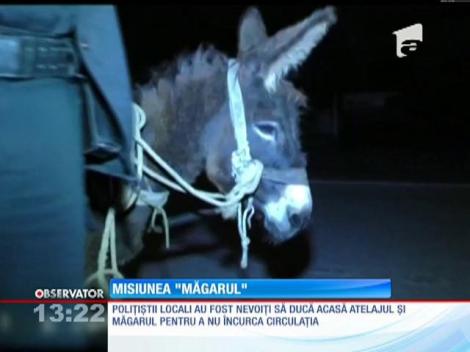 Misiunea "Măgarul" pentru poliţiştii din Vulcan