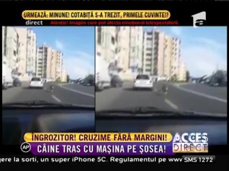 ŞOCANT! Un şofer a fost filmat în timp ce târa cu maşină un câine