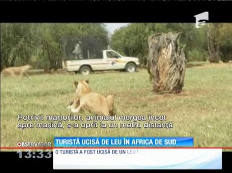 Turistă ucisă de leu în Africa de Sud