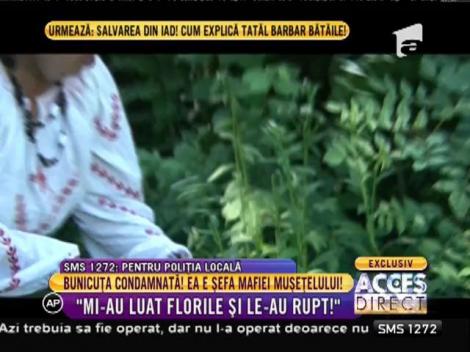 Am găsit-o pe bunica amenințată de cei de la Polița Locală! La 74 de ani, Tanti Ilinca a fost pusă la muncă în folosul comunității