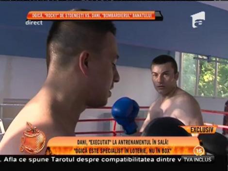 Dani Prințul Banatului, ”executat” la antrenamentul în sală