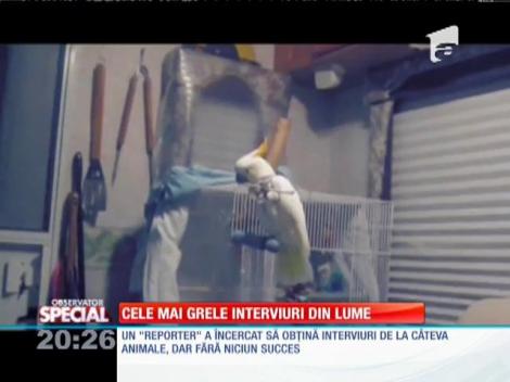 SPECIAL! Cele mai grele interviuri din lume